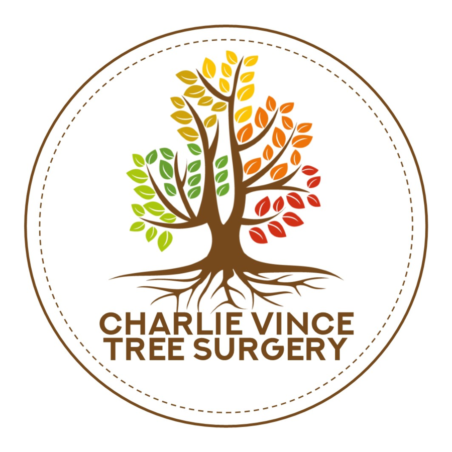 Charlie Vince Tree Surgery Ltd